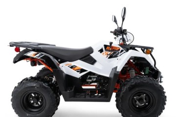 300 T3B 2025 Salon Tarnów 23% Vat